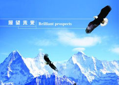 公司簡(jiǎn)介